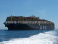 Seagulls Released Useful Tips for Finding the Responsible Freight Forwarding