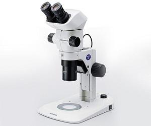 Global Stereo Microscopes Market