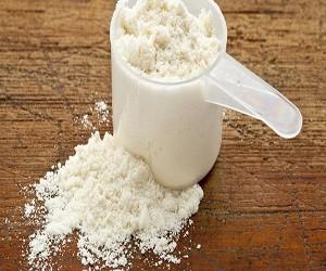 Global Organic Protein Powders Market