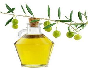 Global Extra Virgin Camellia Oil Market