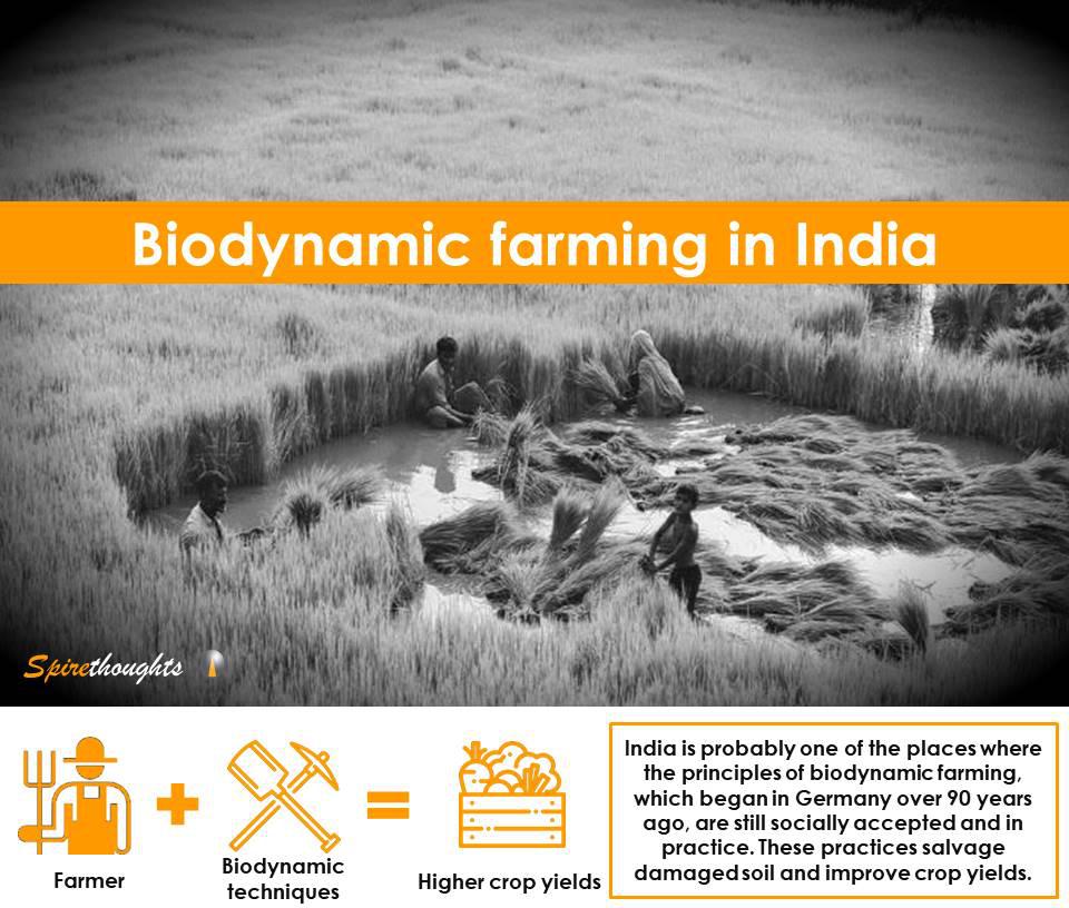 Spire, Spirethoughts, Biodynamic, Farming, India