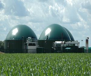 World Biogas Plants Market