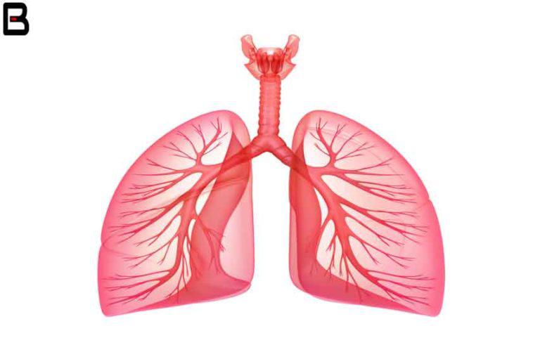 Global Lung Cancer Therapies Market 2018 - Revenue and Gross