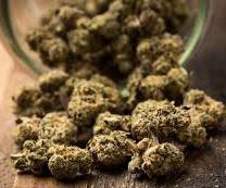 North America Cannabis industry research, North America Cannabis Market Size, North America Cannabis Market Share, North America C