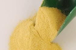 Global Feed Yeast Market Size and Business Forecasts till 2025