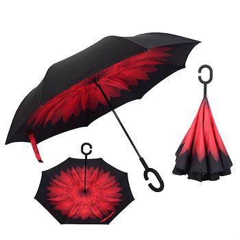 Global Umbrellas Market 2018 by Type - Reverse Umbrella,
