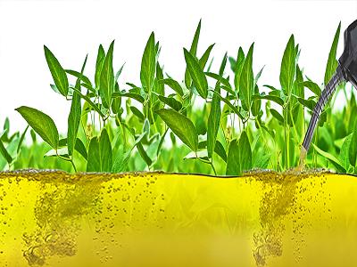 Global Biodiesel Fuel Market Forecast 2018-2025 Caramuru, Diester Industries, Biopetrol, Shandong Jinjiang