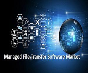 Global Managed File Transfer Software Market