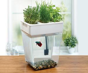 Global Aquaponics Market