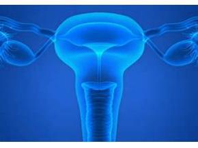 Global Female Sterilization Devices Market Expected to Witness a Sustainable Growth over 2025 - QY Research