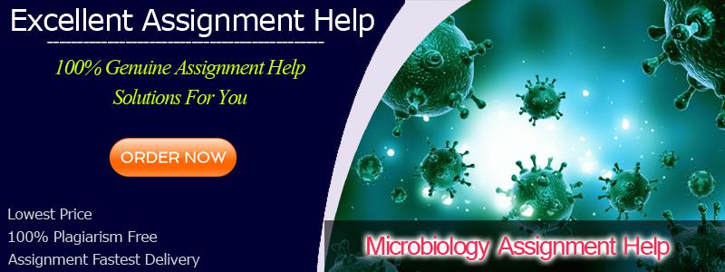 Top Most Microbiology Assignment Help Service Online