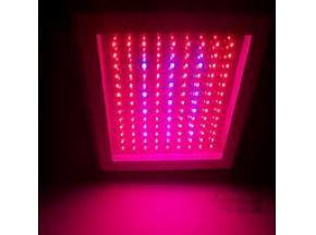 EMEA (Europe, Middle East and Africa) LED Grow Light Market to Witness a Pronounce Growth During 2018 - QY research