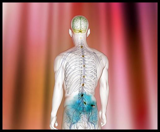 Neurostimulation Devices Market 2018 Eminent Players –