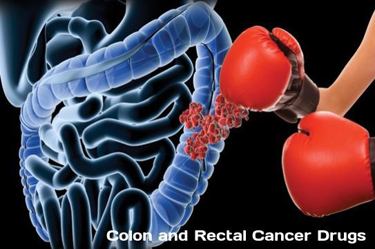 Colon and Rectal Cancer Drugs Market – Industry Size, Growth, outlook and Analysis, 2018–2026