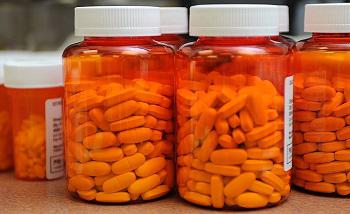Prebiotics Market, Global Prebiotics Market Size, Prebiotics Industry, Prebiotics Market Trends, Prebiotics Market Share