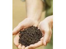 Global Agricultural Inoculants Market Expected to Witness a Sustainable Growth over 2025 - QY Research