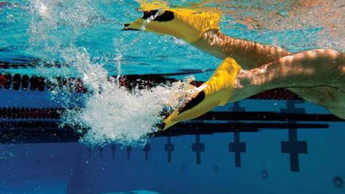 Global Swim Fins Market 2018 Competitive Scenario - Speedo USA,