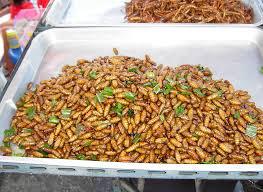 Edible Insects Market Outlook 2025 with Top Key Vendors: