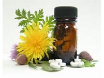 Whole Homeopathic Medicine Market Size, Share, Development by 2013-2025 - QY Research, Inc.