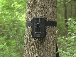 Global Game Camera Market 2018 - Report serves as a Repository