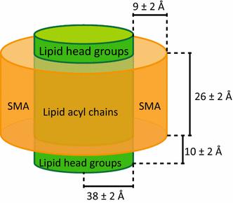 Styrene?Maleic Acid/Lipid Particles (SMALPs)