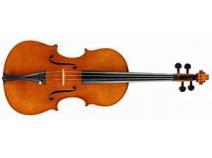 Global Violas Market to Witness a Pronounce Growth During 2013-2025 - QY research