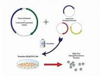 Viral Vectors and Plasmid DNA Manufacturing Market to Witness Robust Expansion by 2013-2025 - QY Research, Inc.