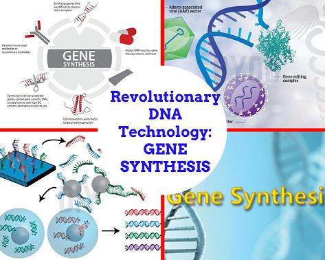 The global gene synthesis market estimated to grow at a CAGR of 28.7% from 2018 to 2025 to reach US$ 20,122.3 Mn by 2025