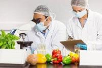 Food Safety Testing, Food Safety Testing Market, Food Safety Testing Market Size, Food Safety Testing Industry