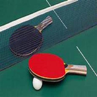 Table Tennis Market