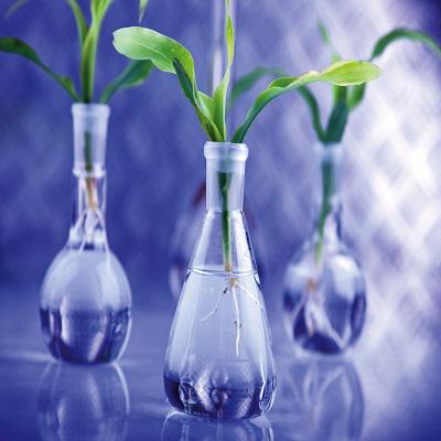 Bio-based Polyurethane Market Report 2018 Companies included Bayer Material, Lubrizol, Rhino Linings, Johnson Controls, Dow Chemical , BASF , Mitsui Chemicals, SNP , Rampf Holding, Malama Composites, TSE Industries and Woodbridge Foam. and Others
