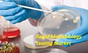 Global Rapid Microbiology Testing Market