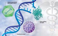 Gene Therapy, Gene Therapy Market, Gene Therapy Market Size, Gene Therapy Industry, Gene Therapy Market share