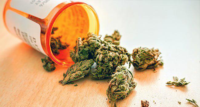 U.S. Medical Marijuana Market, U.S. Medical Marijuana Market Size, U.S. Medical Marijuana Market Forecast, U.S. Medical Marijuana