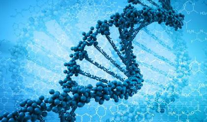 Digital Genome Market, Global Digital Genome Market Size, Digital Genome Industry, Digital Genome Market Trends