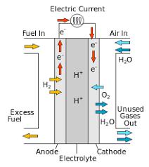 Research report explores the Global Fuel Cell Market tremendous