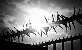 New Study On Global Wall Spikes Market With Tremendous Growth By 2025- Estimated By Top Key Players like SAE Systems Ltd, Birming