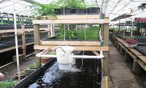 Aquaponics Market 2018