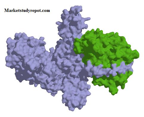 Botulinum Toxin Market, Botulinum Toxin Market Trends, Botulinum Toxin Market Growth, Botulinum Toxin Market Size, Botulinum Toxin