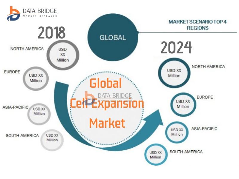 Global Cell Expansion Market