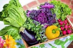 Clinical Nutrition Market, Global Clinical Nutrition Market Size, Clinical Nutrition Industry, Clinical Nutrition Market Trends