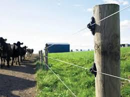 Electric Fence Market