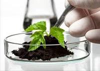 Gmo Testing Market Key Player Analysis By - Thermo Fisher