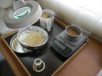 Grain Analysis, Global Grain Analysis, Grain Analysis Market, Grain Analysis Market Size, Grain Analysis Industry