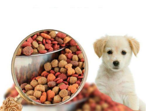 Pet Food Flavors Market- Size, Share, Application ,Growth