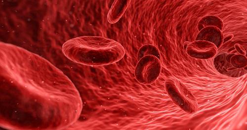 Platelet and Plasma Market, Global Platelet and Plasma Market Size, Platelet and Plasma Industry, Platelet and Plasma Market Trend