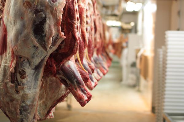 Food Temperature Monitoring & Alarming Solution In Meat Lockers
