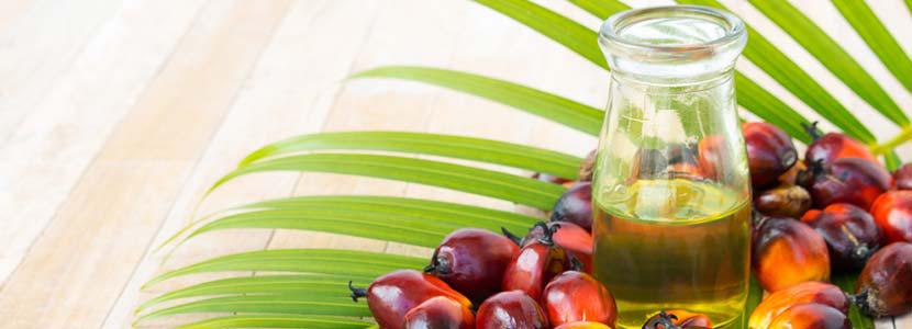 Sustainable Palm Oil Market