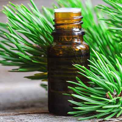 Pine Needle Oil Market Report 2018 Companies included Aroma Land, Floracopeia, Mountain Rose Herbs, Nowfoods, BIOLANDES, HRF, A. G. Industries, Shakti Him Pharma, K.K. Enterprise, Shiv Sales Corporation, Scatters Oils and Others