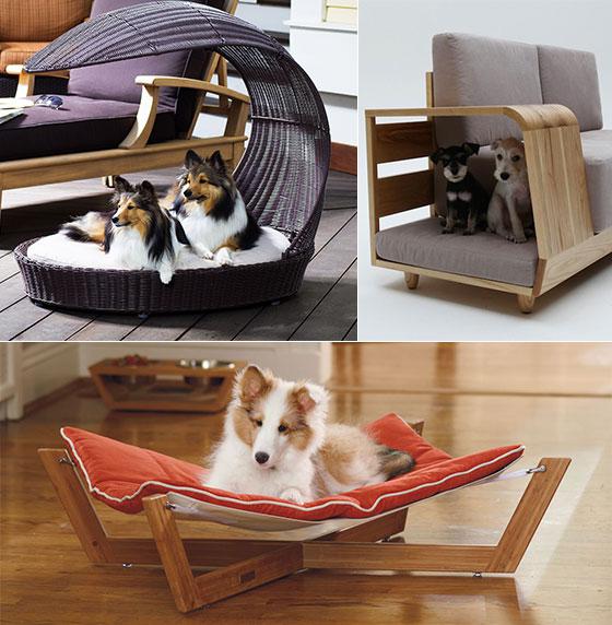 Pet Furniture Market Is Booming Worldwide | Go Pet Club, North